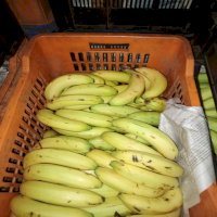 Banane swami